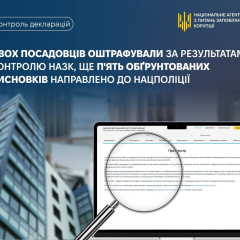 Violations in officials' declarations by NACP