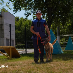 Emergency service dog training to search for the deceased