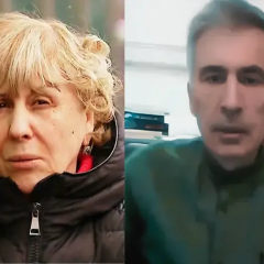 Mikheil Saakashvili and his critics
