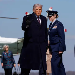 Trump and possible oil trade