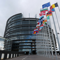 Голосование Европарламента