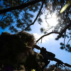 Бої у Вовчанську та Куп'янську