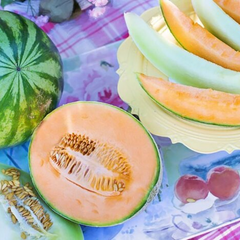 Цены на арбузы и дыни различаются в разы: где покупать в конце сезона