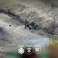 Military pulled NRK out of the river