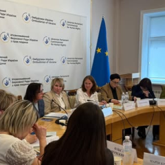 перевірка місцевих програм підтримки ВПО