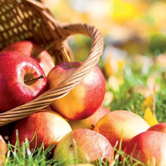 Poetic greetings for the Apple Savior