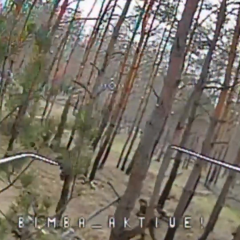 Завдання вдвічі збільшено, 31 500 окупантів знищено