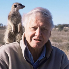 Dr. David Attenborough reveals secrets of longevity