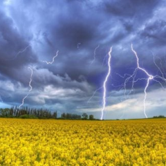 Жовтий рівень небезпеки через грози