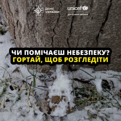 Камуфлированные взрывоопасные предметы на фотографии