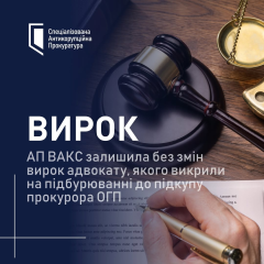 ВАКС підтвердив вирок адвокату Панасенку за корупційні дії – 4,5 роки в’язниці