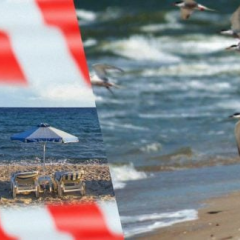 Три года оккупации: курорты Азовского моря