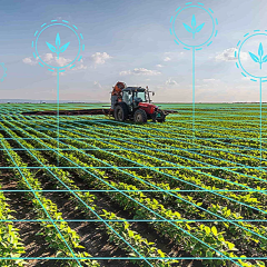 Robot with laser in the field