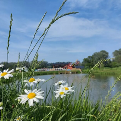 Meteorologist Didenko predicts rain in Ukraine