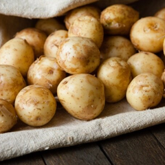 Молода картопля за низькою ціною