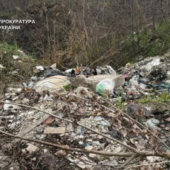 Свалки в Деснянском районе