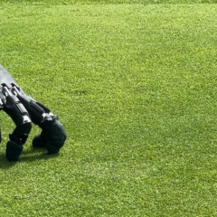 Autonomous robotic arm with mobility