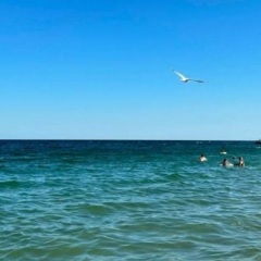 Seven Additional Odesa Beaches Approved for Public Recreation