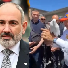 Lost pigeon at the pre-election event