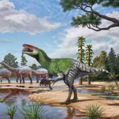 Fossil remains of a new megaraptor species
