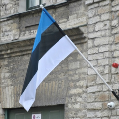 Затримані мігранти на кордоні з Білорусі