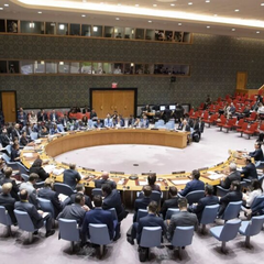 Естонія скликає екстрене засідання Радбезу ООН