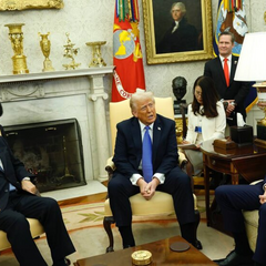 Трамп і Зеленський обговорюють рідкісноземельні метали