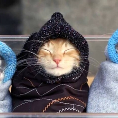 Сніг у вересні: несподіване похолодання