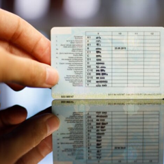 Новий реєстр для водіїв в Україні