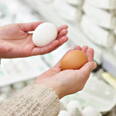 Цены на яйца перед Великоднем