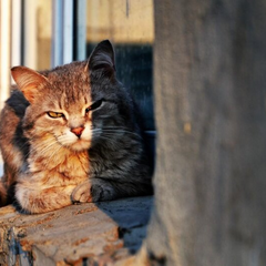 Снег и морозы в апреле