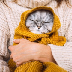 Первые заморозки: синоптик назвал самые холодные области