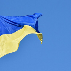 Украинский язык стал официальным