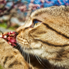 Синоптик Діденко прогнозує погоду