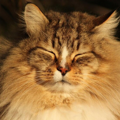 Синоптик Диденко радует прогнозом