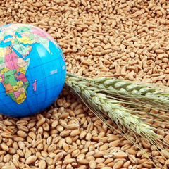 Литва допомагає Україні з експортом зернових