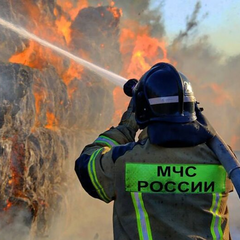 Обмеження експорту дизпалива та наслідки для ринку