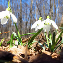 Размеренное лето. Гроза. Сильный ветер.