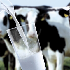 Динаміка цін на молоко у червні