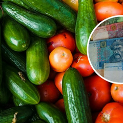 Огірки та помідори за доступними цінами
