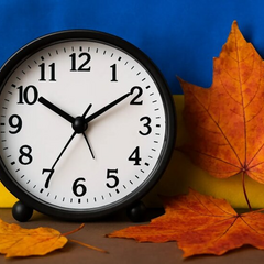 Дорожні штрафи та виїзд за кордон