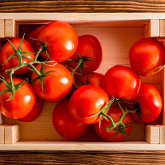 Помідори за лічені гривні