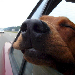 Небезпека на дорозі через погоду