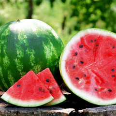 Сезон кавунів Україні: проблема з цінами