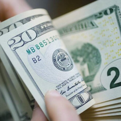 Валютний ринок: євро та долар