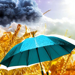 Синоптик Диденко - тревожный прогноз погоды