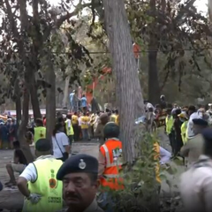 242 загиблих в аварії літака Air India