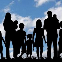 Стаж не зачислен: многодетная мать разочарована