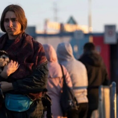 Нідерландські правила для біженців із України