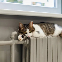 Три міста модернізують системи теплопостачання